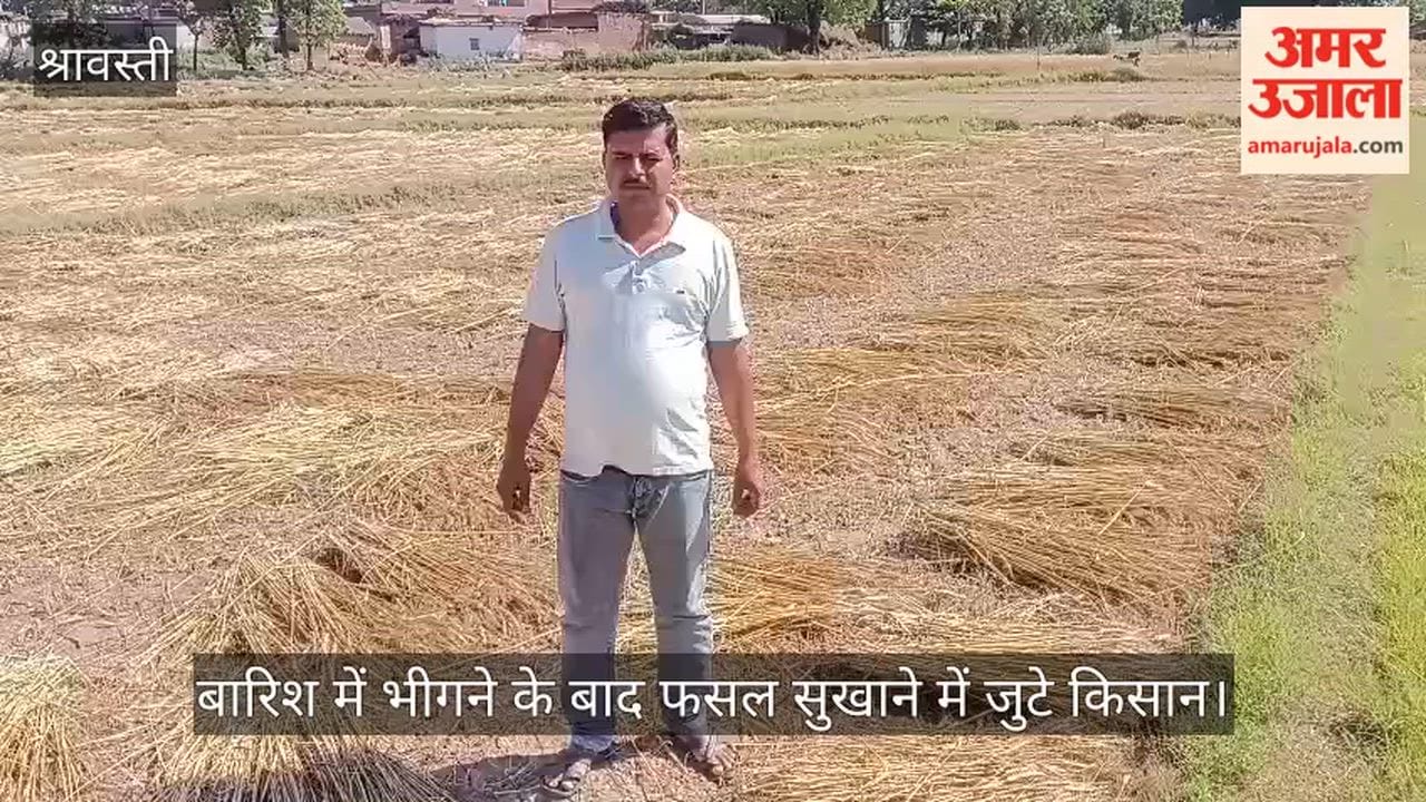 श्रावस्ती में बारिश थमने के बाद निकली धूप, फसल सुखाने में जुटे किसान