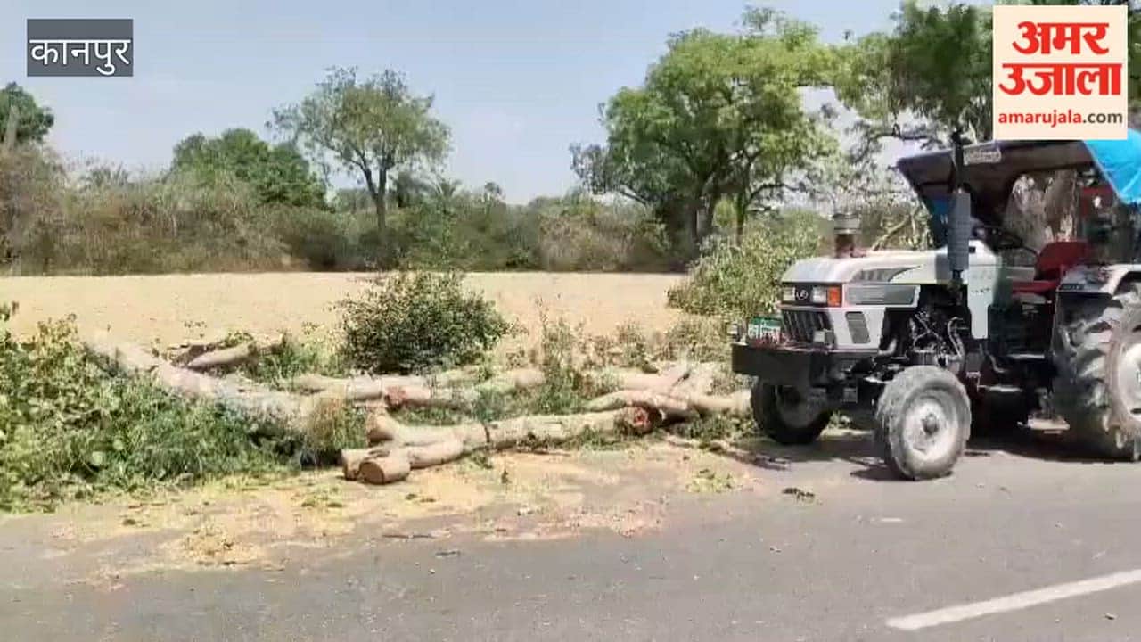 Tree-Felling Mafia Flees After Villagers' Protest