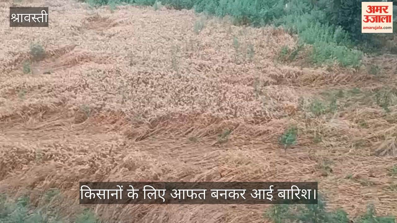 VIDEO: सुबह से रुक रुक कर हो रही बारिश, किसानों की बढ़ी मुसीबत