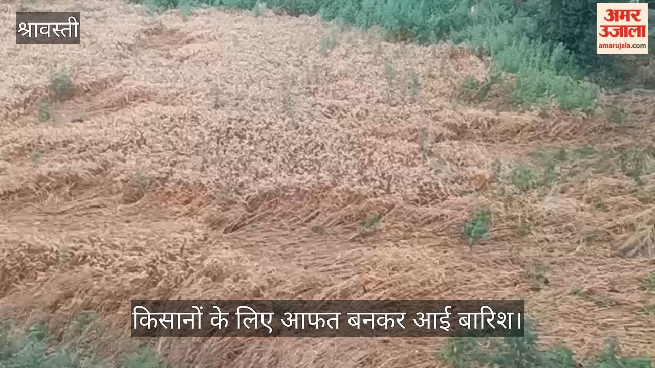 VIDEO: सुबह से रुक रुक कर हो रही बारिश, किसानों की बढ़ी मुसीबत