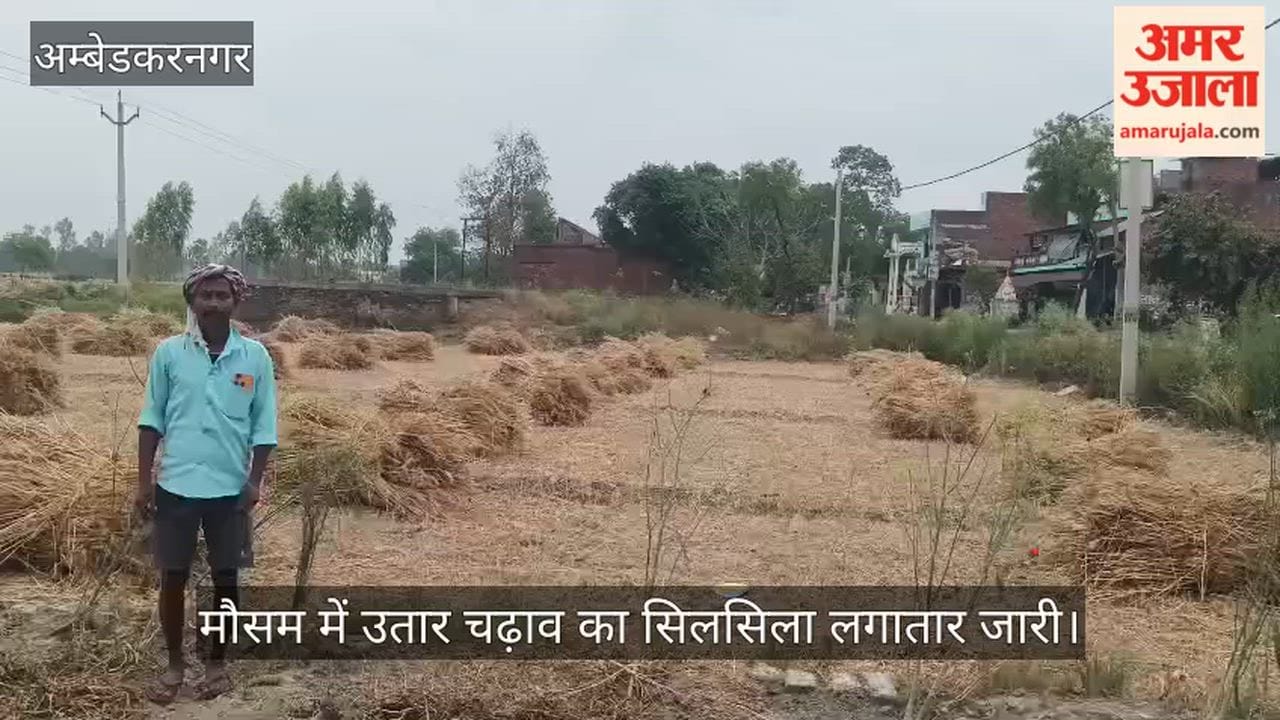 VIDEO: रात में आई आंधी, कई स्थानों पर पड़ी बौछार, भीगी गेहूं की फसल