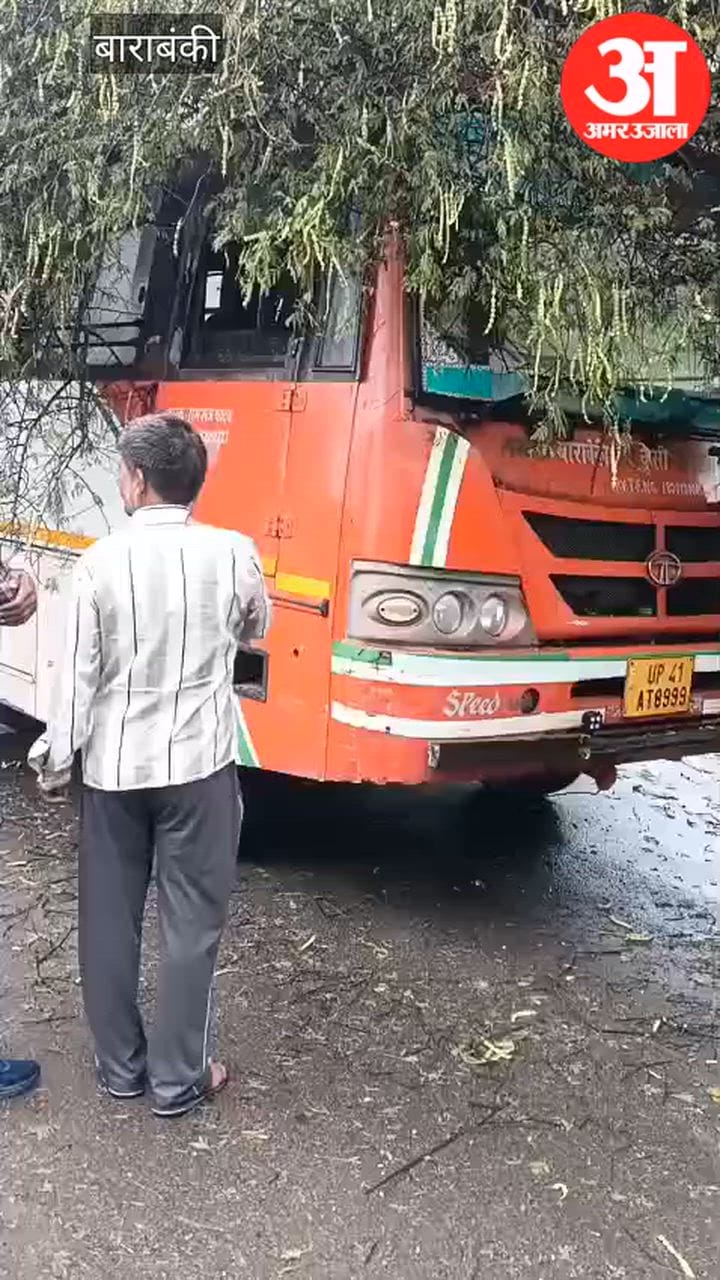 VIDEO: चलती बस पर गिरा  पेड़, एक दर्जन यात्री बाल-बाल बचे