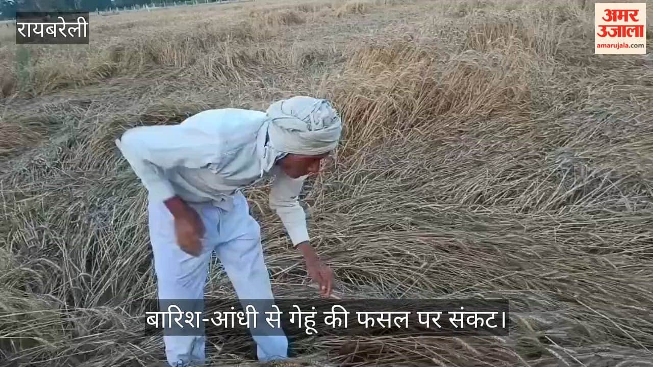 VIDEO: बारिश-आंधी से गेहूं की फसल पर संकट, किसान परेशान