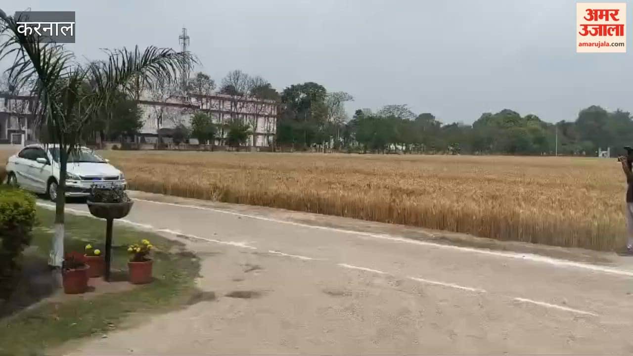 Director Dr. M.L. Jat visited the Central Soil Salinity Research Institute, Karnal, on Harvest Day