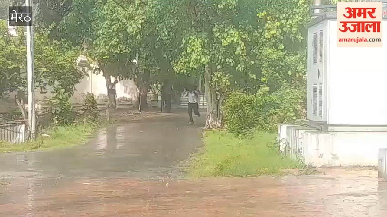 Meerut Weather: Rain in the city and hailstorms in the villages cause damage to crops