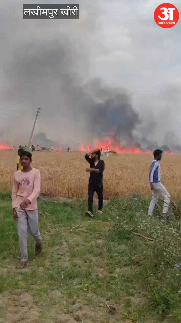 Video: लखीमपुर खीरी में आग लगने से मचा हाहाकार, 81 बीघा गेहूं की फसल जलकर हुई राख