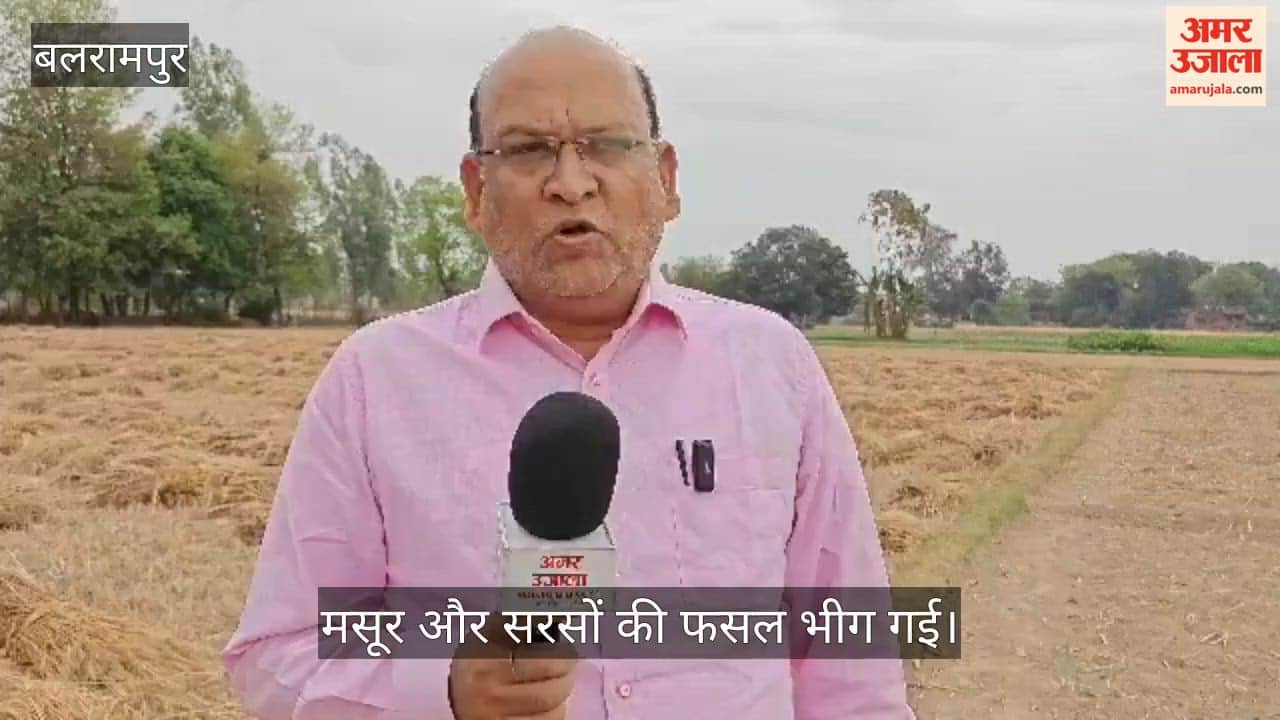 VIDEO: बिन मौसम बारिश से खेतों में भीगी फसल, कटी पड़ी गेहूं की फसल, किसानों की बढ़ी चिंता