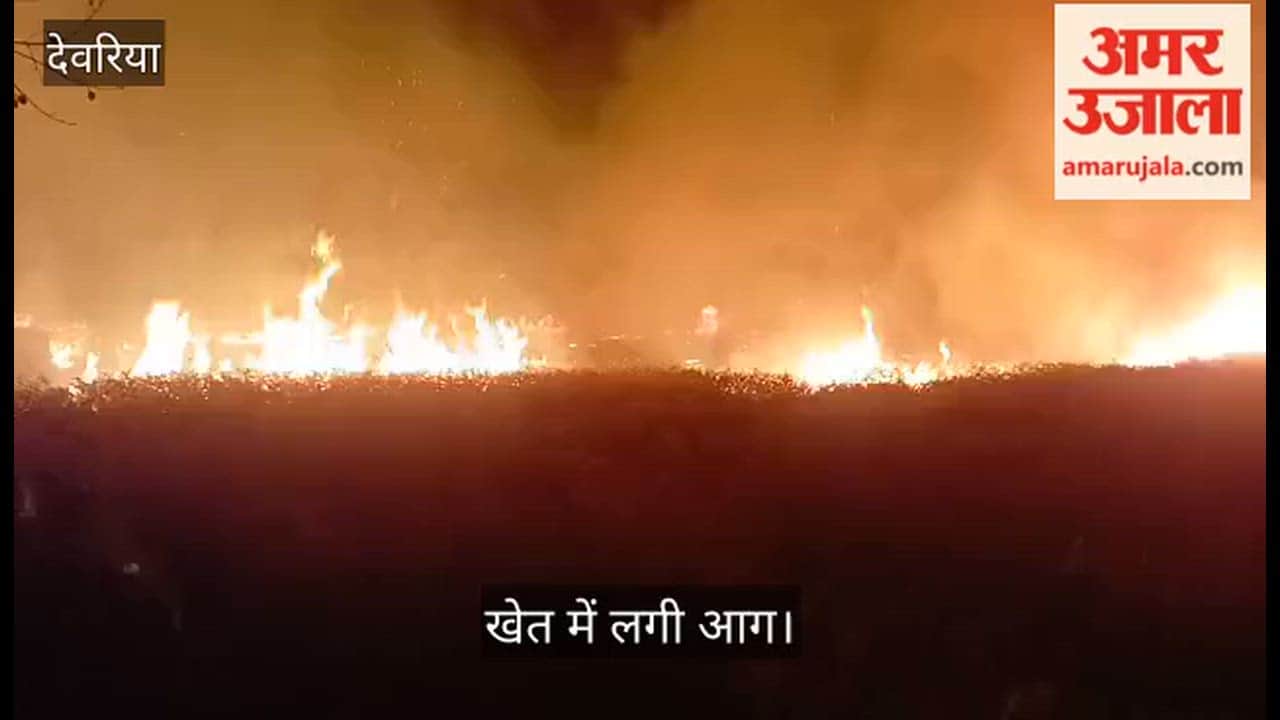 Fire breaks out in field; chaos ensues.