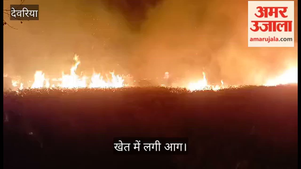 Fire breaks out in field; chaos ensues.