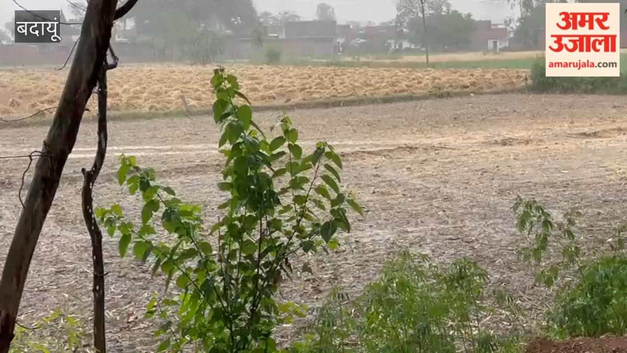 Fear of Crop Damage Due to Unseasonal Rains in Budaun