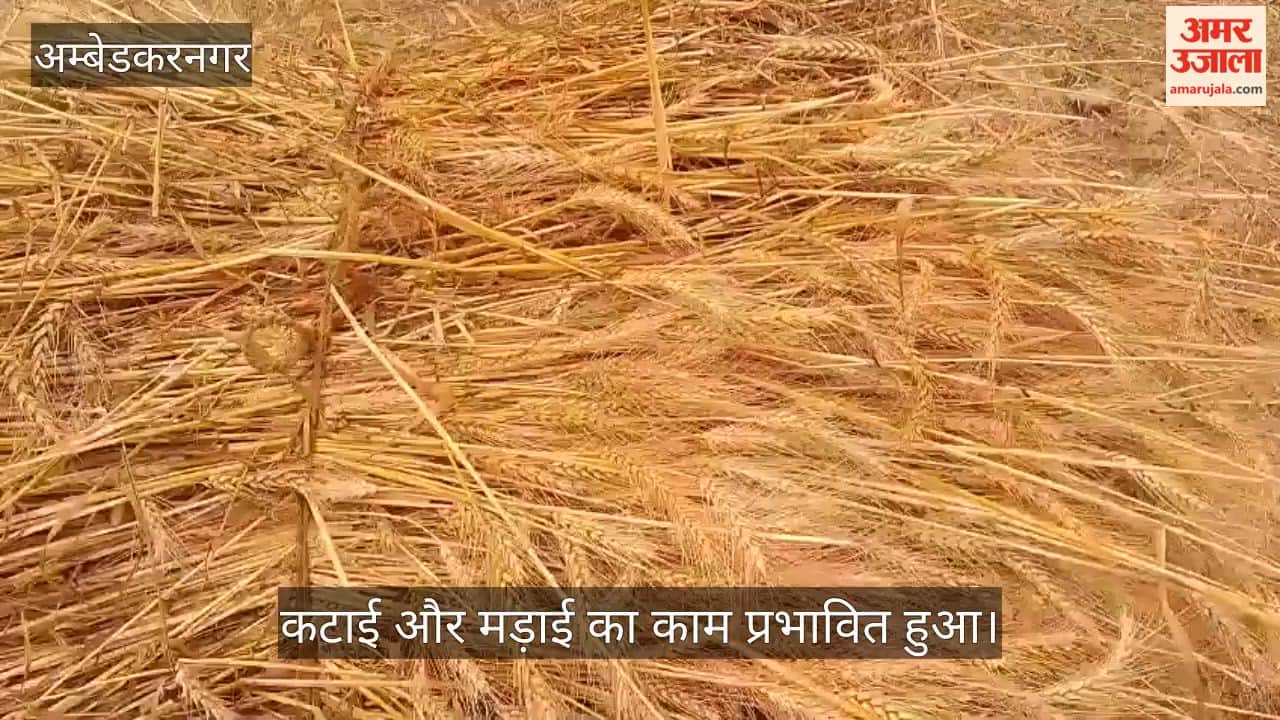 VIDEO: रात में आई आंधी, कई स्थानों पर पड़ी बौछार, भीगी गेहूं की फसल