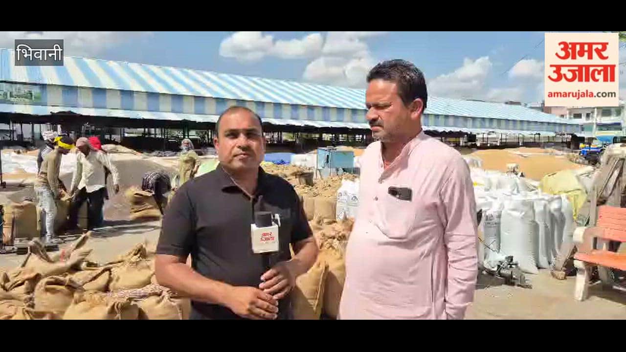 24,500 quintals of wheat arrive at Bhiwani Mandi, government procurement stalled for eight days