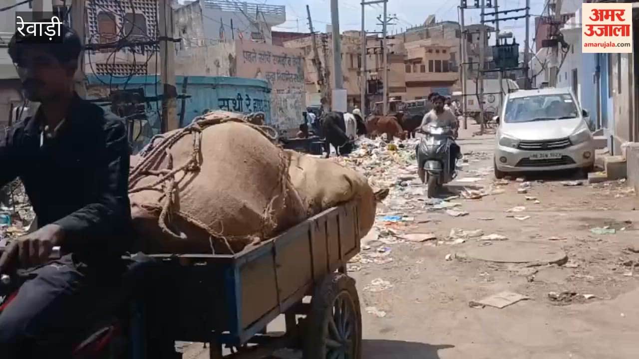 Heaps of Filth Beneath Sanitation Slogans in Rewari: How Can Awareness Be Fostered?