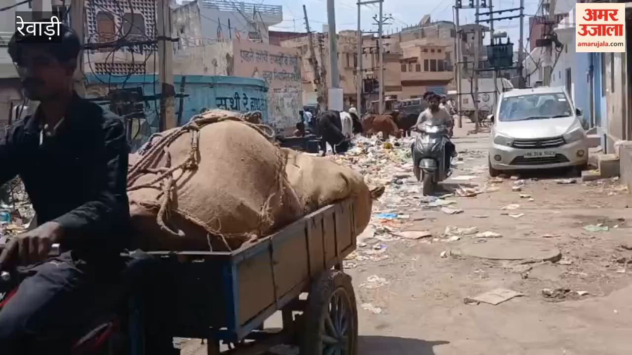 Heaps of Filth Beneath Sanitation Slogans in Rewari: How Can Awareness Be Fostered?