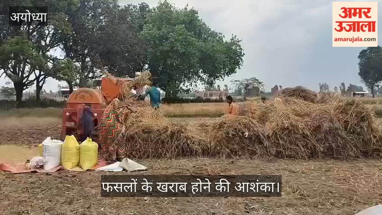 VIDEO: लगातार खराब मौसम से चिंतित किसान, बूंदाबांदी के बावजूद गेहूं की मड़ाई में जुटे