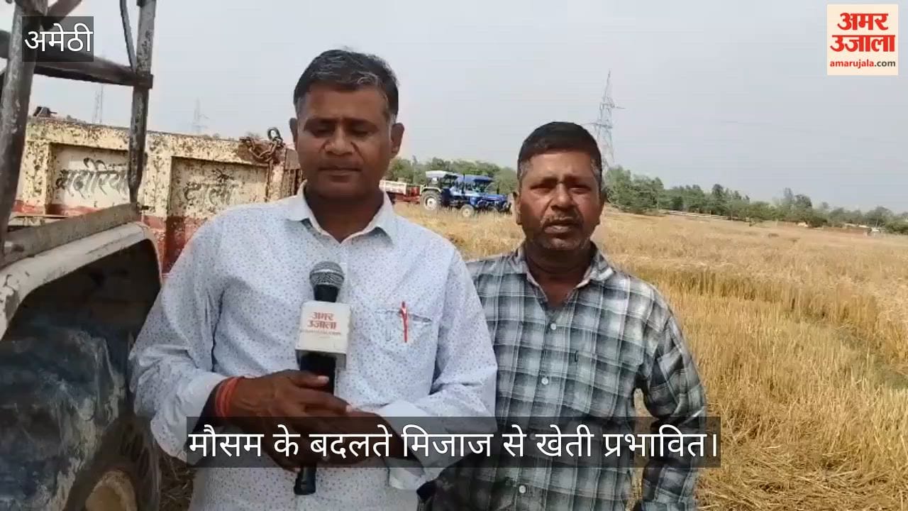 VIDEO: बारिश ने रोकी कटाई, खेतों में भीगी फसल से बढ़ी चिंता, नुकसान का खतरा बढ़ा
