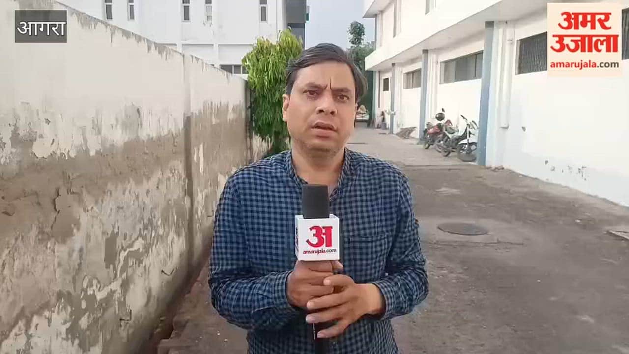 thief committed two thefts After being released from jail