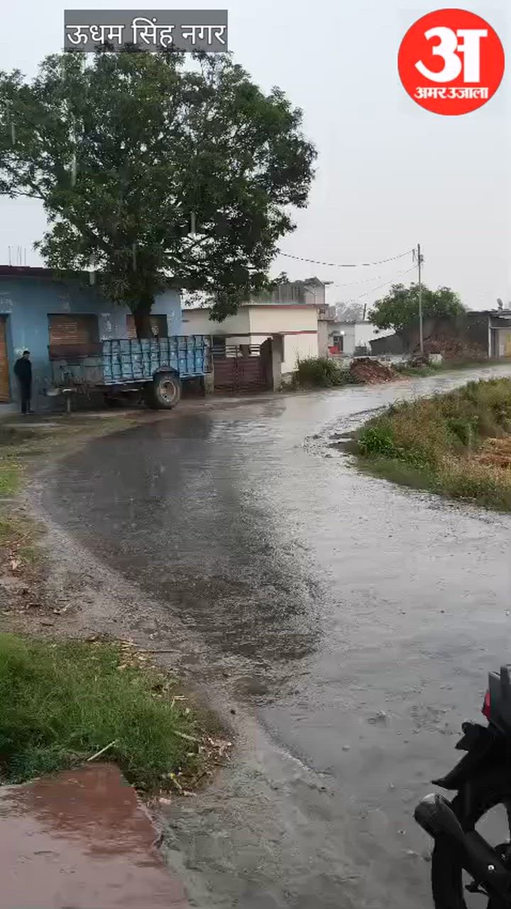 Khatima: गेहूं की खड़ी फसल पर मुसीबत बनकर बरसी बेमौसमी बारिश