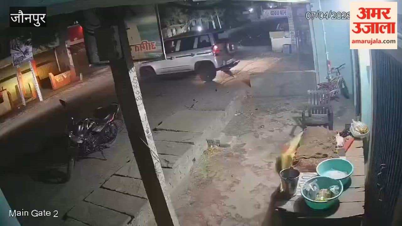 Teenager Dies After Tree Falls During Storm Incident Caught on Video