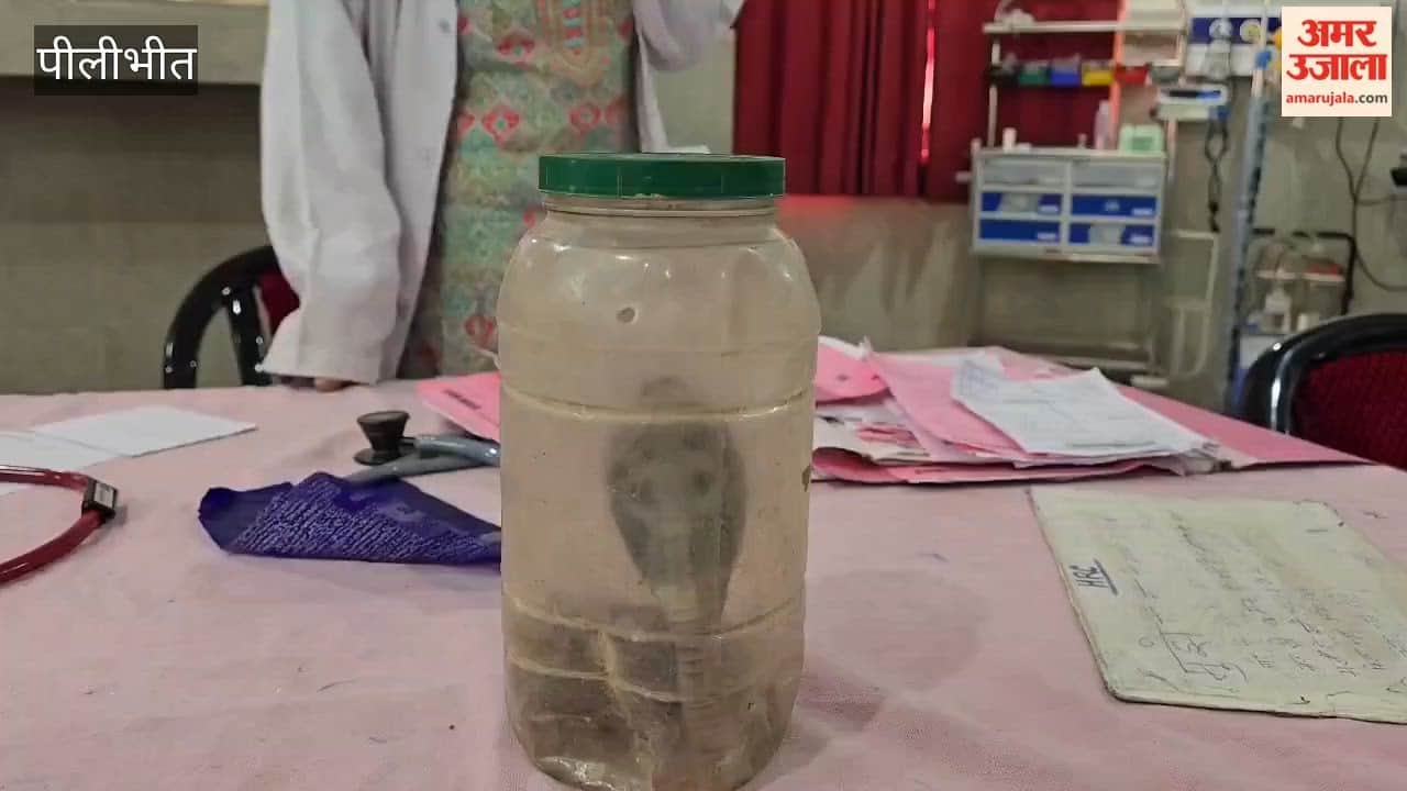 family members arrived at the hospital with the snake that bit the woman in Pilibhit