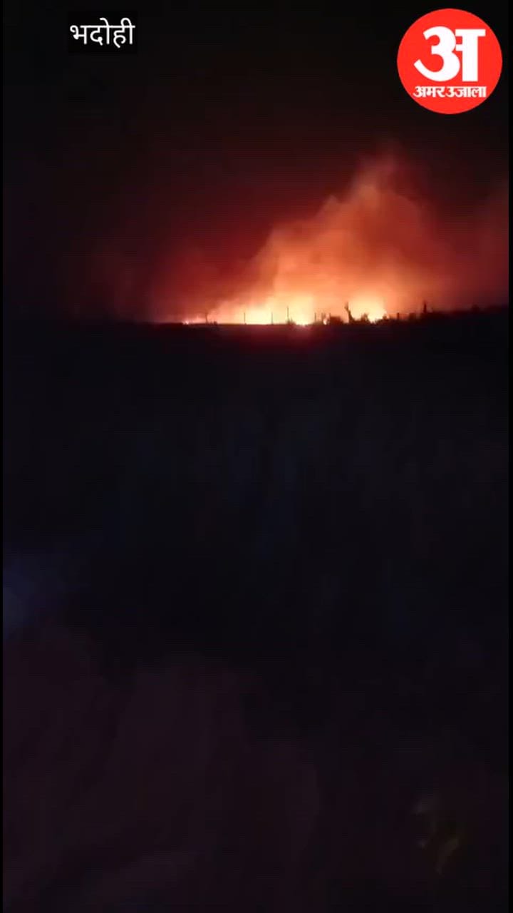 भदोही में पांच बीघा गेहूं की फसल राख, VIDEO