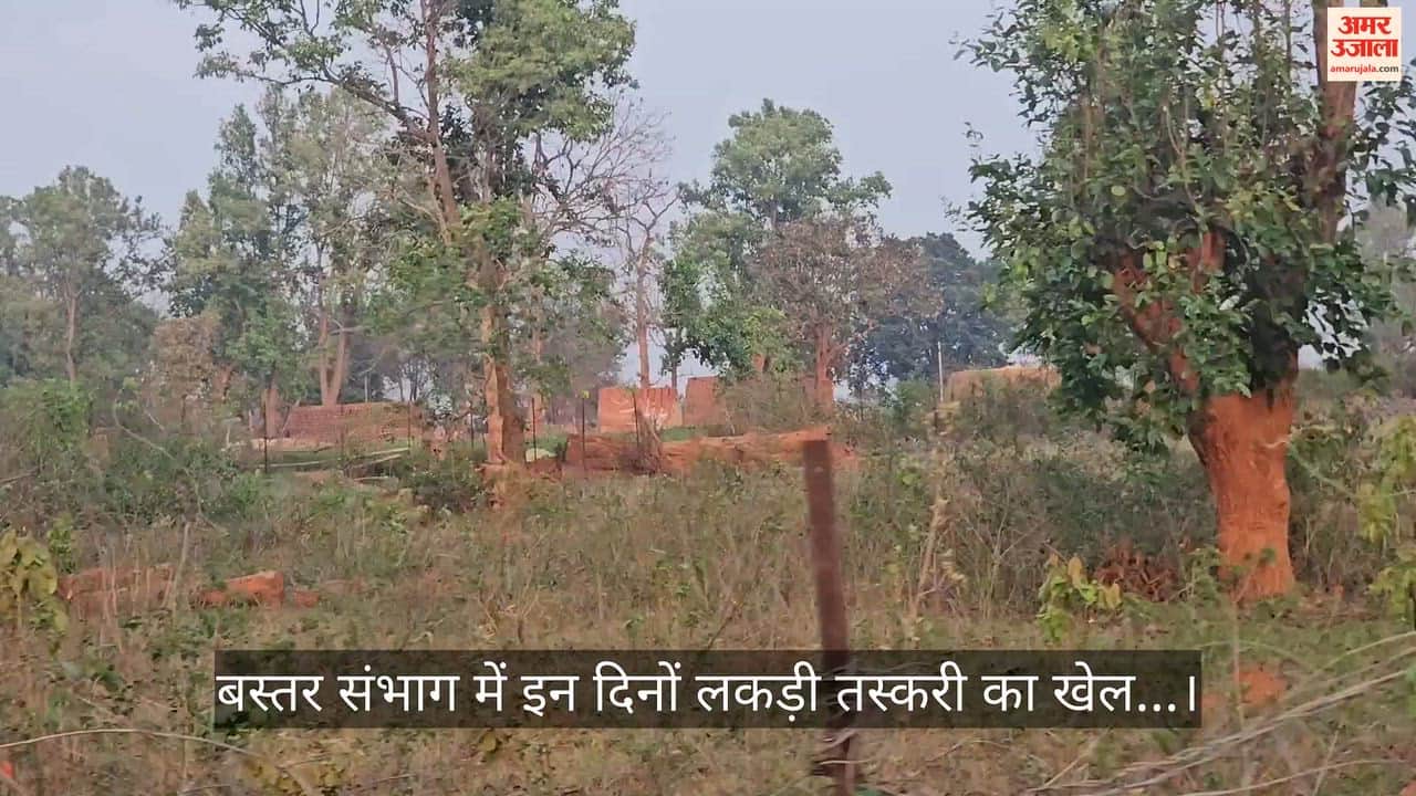 Timber Smuggling from Bastar in Pushpa Style 50–100 Trucks Cross Daily