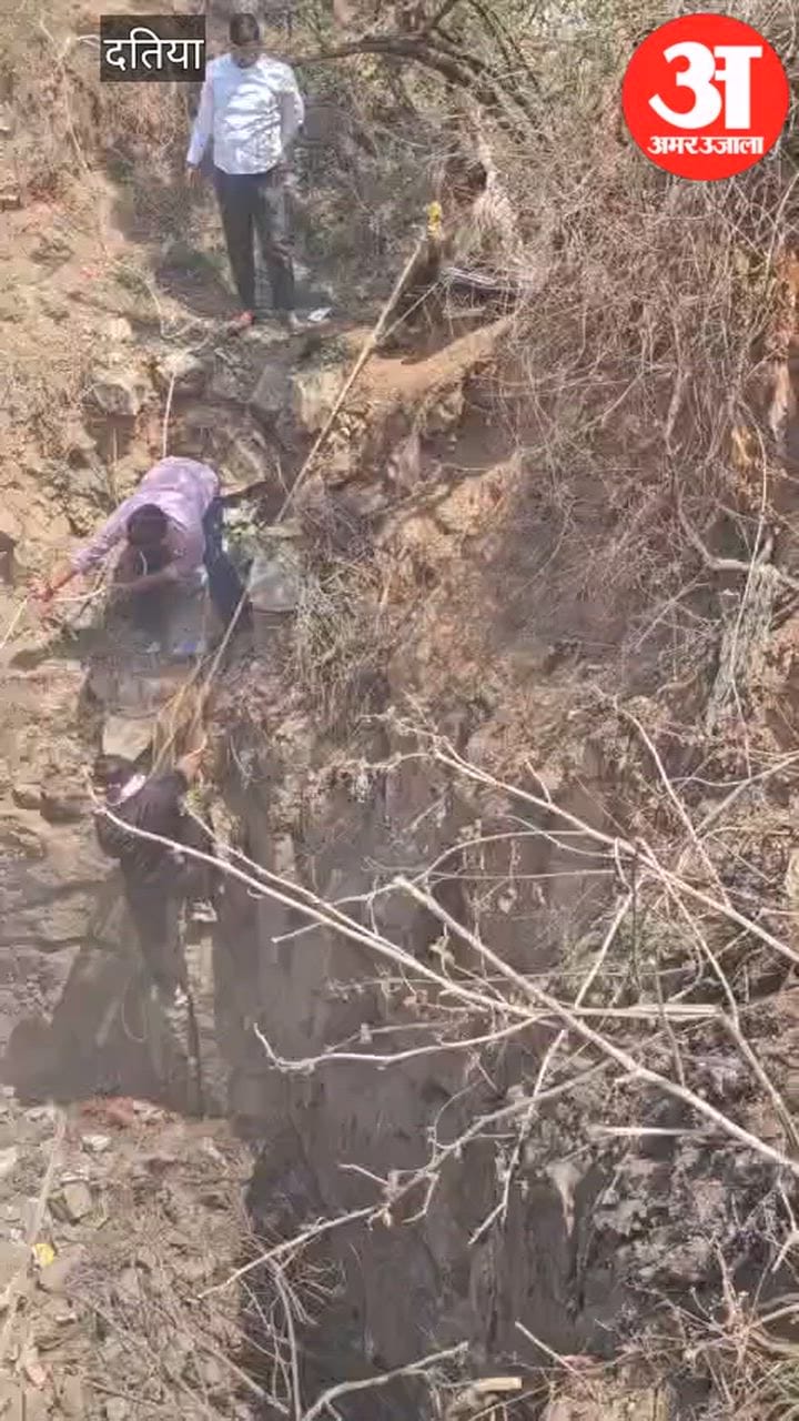 दतिया में बैल को कुएं से निकालने के लिए चलाया गया रेस्क्यू अभियान