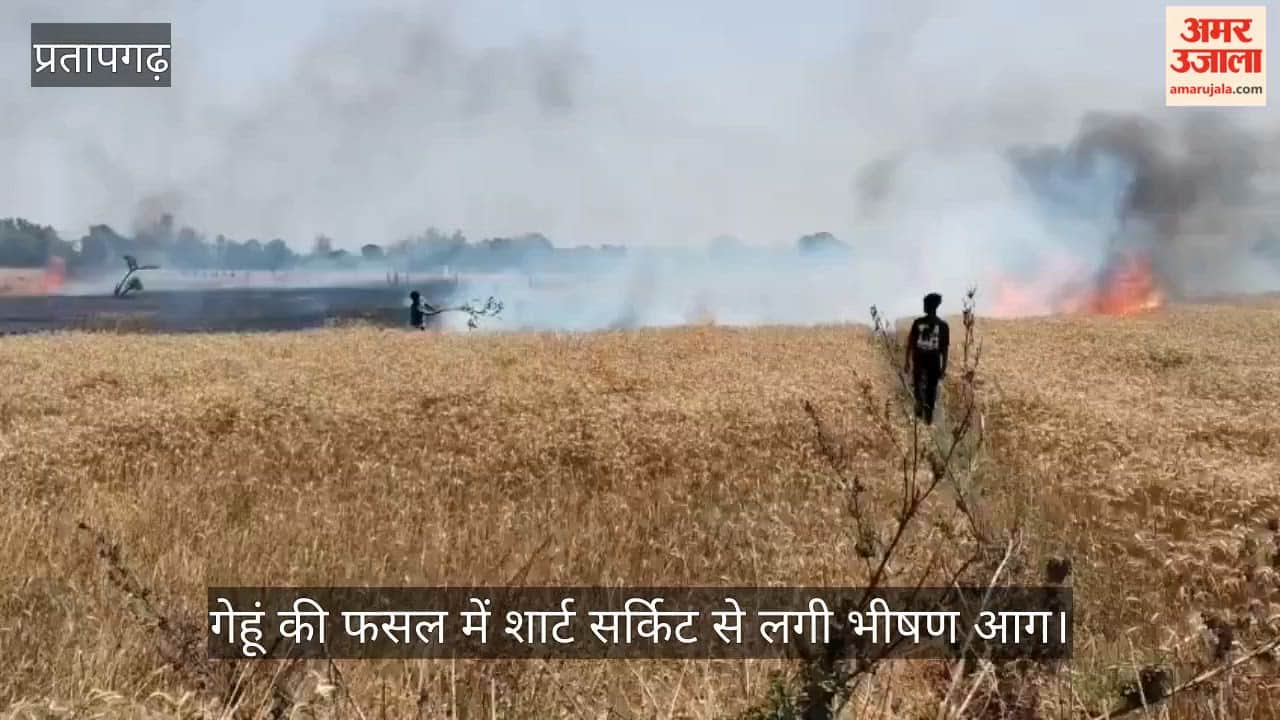 Several acres of wheat crop were gutted in a fire caused by a short circuit in Kandhai, Pratapgarh, but the fire brigade failed to reach