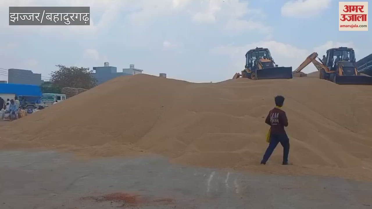 Wheat drying operations are in full swing at the Jhajjar grain market, after the wheat was soaked by rain
