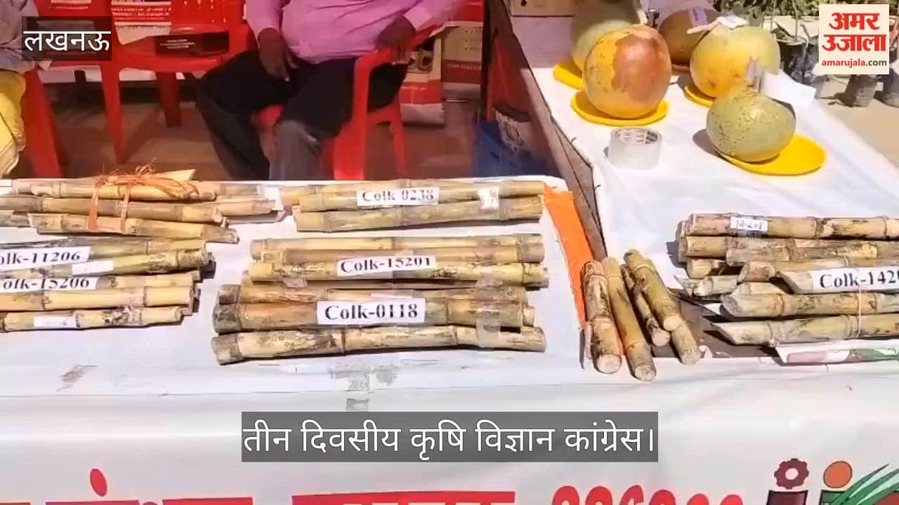 VIDEO: नई गन्ना किस्म और चेरी टमाटर ने खींचा ध्यान, कृषि विज्ञान कांग्रेस में दिखी नवाचार की झलक