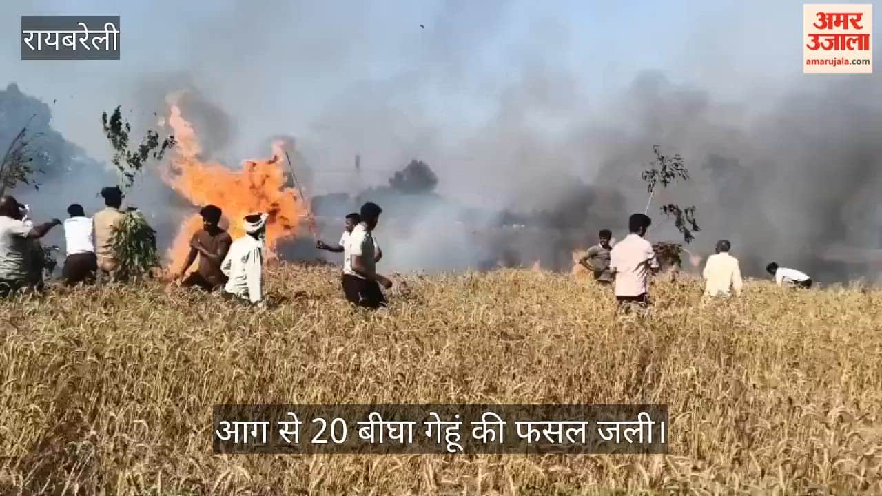 रायबरेली में गेहूं के खेत में लगी आग, 20 बीघा फसल जली