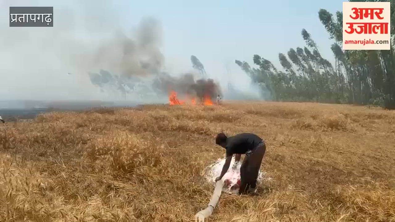 A fire broke out in Kandhai, Pratapgarh, burning several acres of wheat crop to ashes, creating panic in the village.