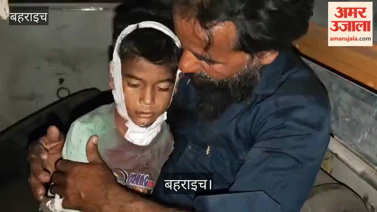 बहराइच: हाथ से बच्चे को छीनकर भागा तेंदुआ, पिता ने संघर्ष कर बचाई बेटे की जिंदगी