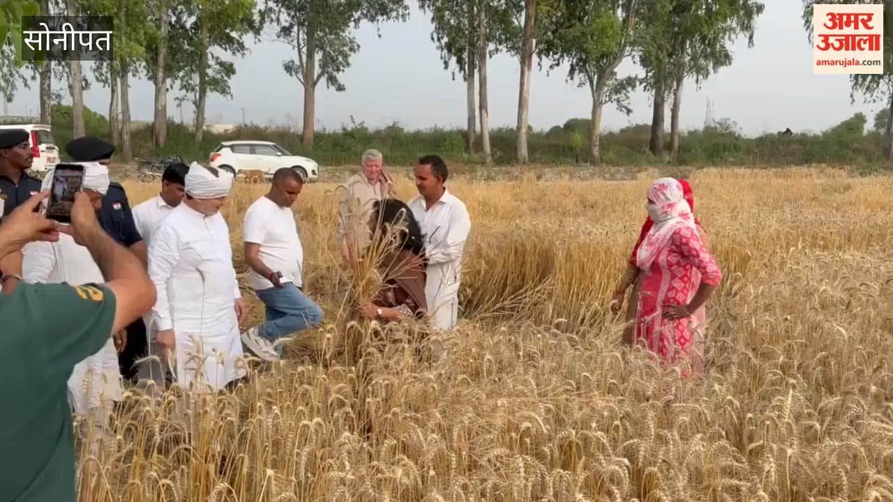 In Sonipat, Cooperation Minister Dr. Arvind Sharma participated in the harvest; accompanied by his wife, Dr. Rita Sharma, he visited the fields of Bidhal village.