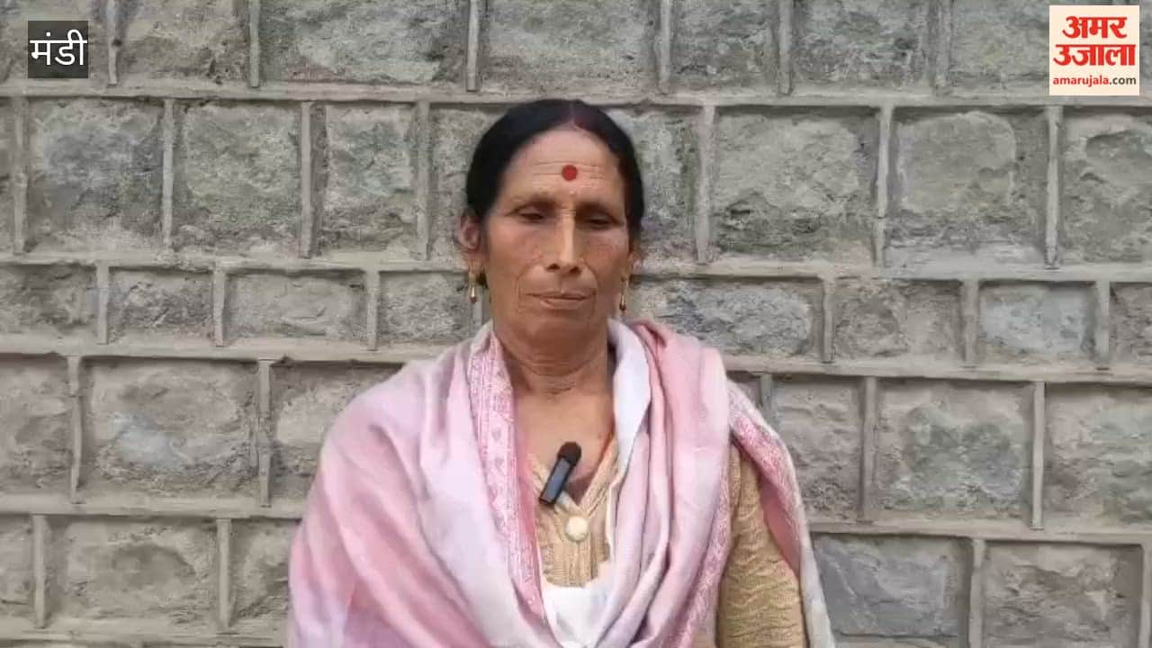 Mandi: Over 23,000 New Farmers Join in District Mandi Due to Promotion of Natural Farming