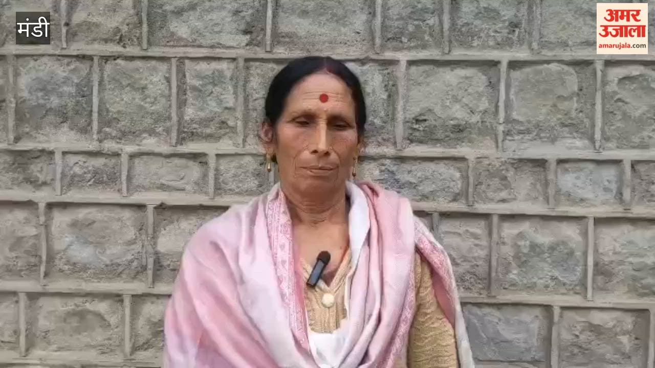 Mandi: Over 23,000 New Farmers Join in District Mandi Due to Promotion of Natural Farming