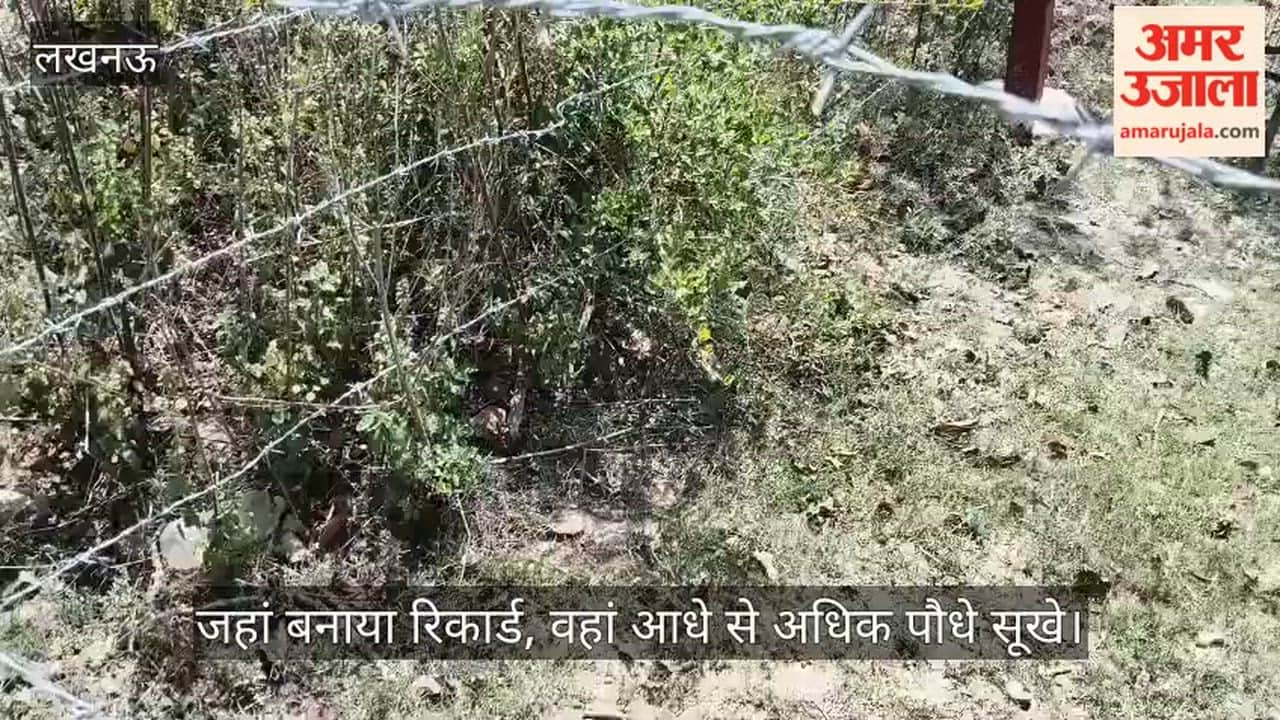 लखनऊ में जहां 10 सेकंड में 2100 से अधिक पौधे लगाकर बनाया रिकार्ड, वहां आधे से अधिक पौधे सूखे