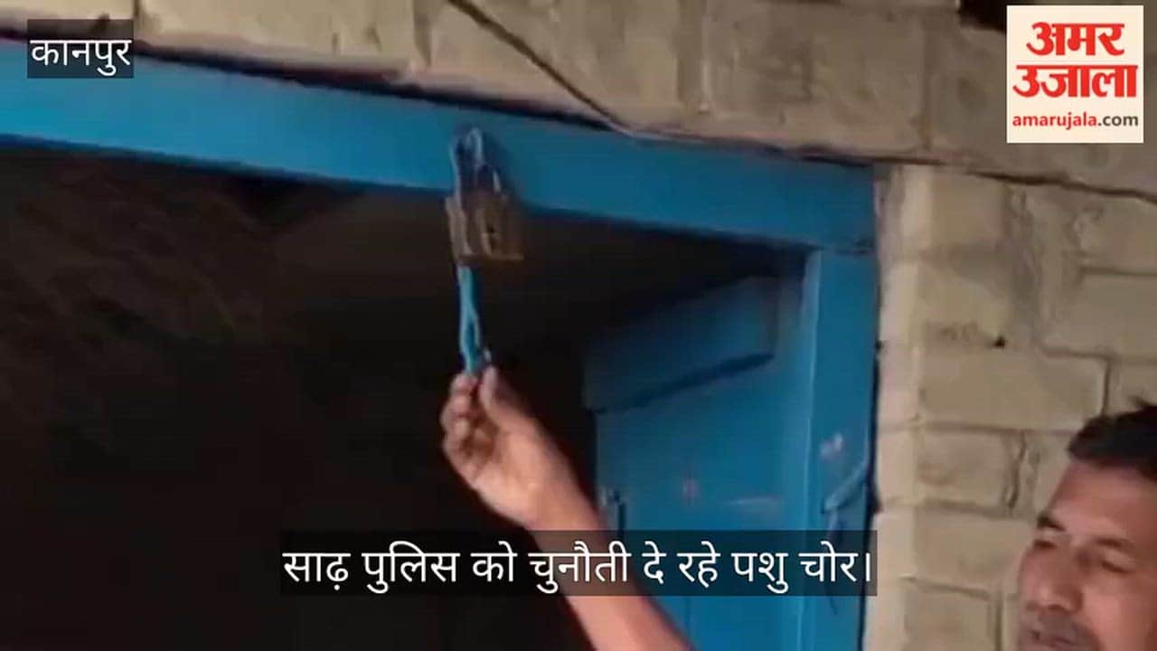Kanpur Lock Remains Intact as Thieves Cut Chain and Steal Goats Burglary at Farmers Enclosure Sparks Alarm
