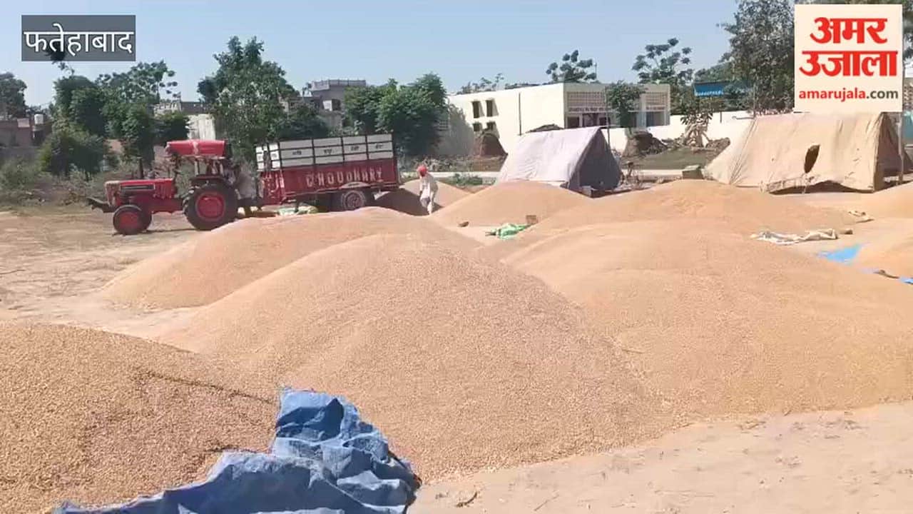 In Jakhal, Fatehabad, the village-based centers designated for unloading wheat have reached full capacity; farmers are expressing their resentment due to the lack of available space.