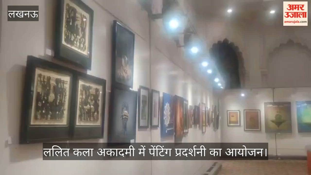 VIDEO: राज्य ललित कला अकादमी में पेंटिंग प्रदर्शनी का आयोजन, श्रीलंका की पेंटिंग ने दर्शकों को लुभाया