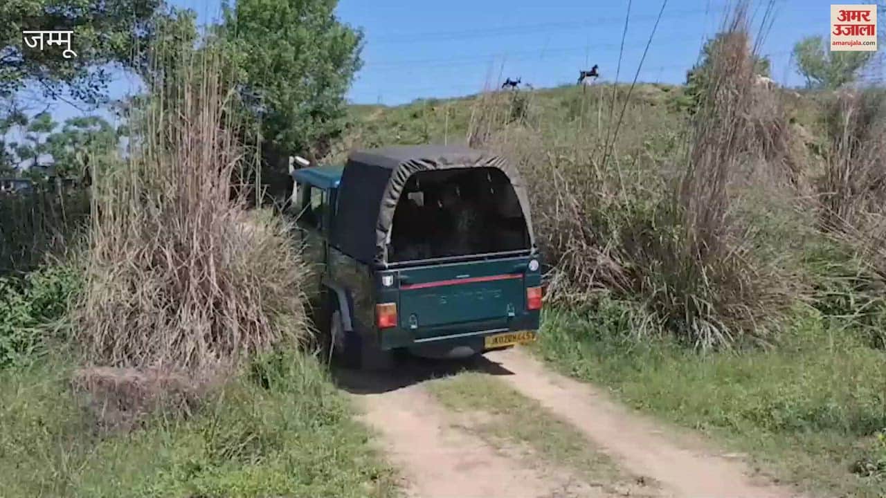 Security agencies on alert after suspicious movement in Samba, search operation intensified at the border