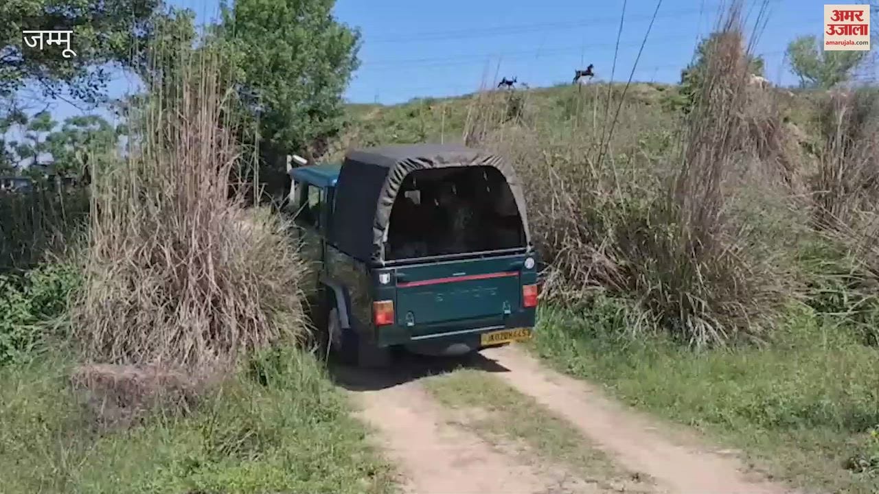 Security agencies on alert after suspicious movement in Samba, search operation intensified at the border