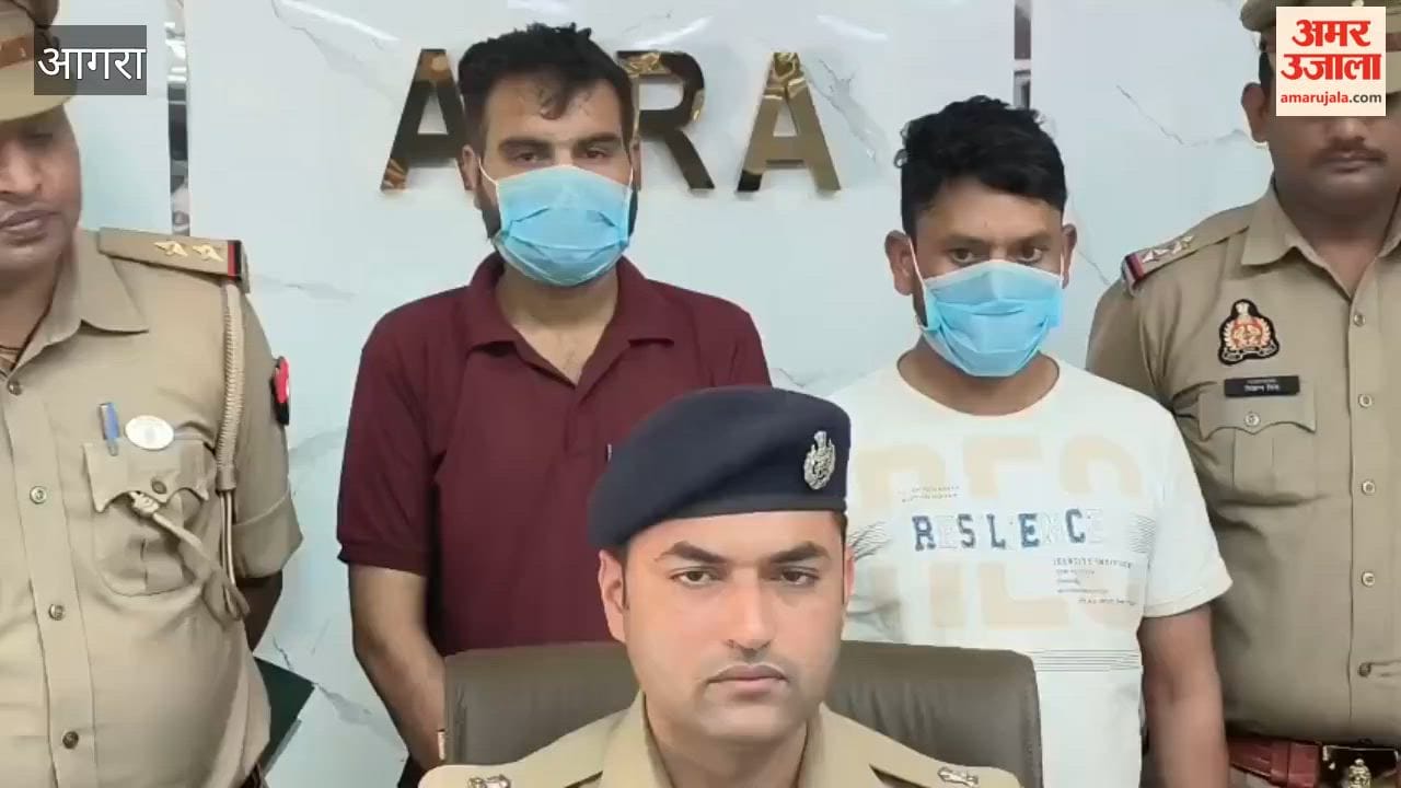 Gang involved in car-pledging fraud busted