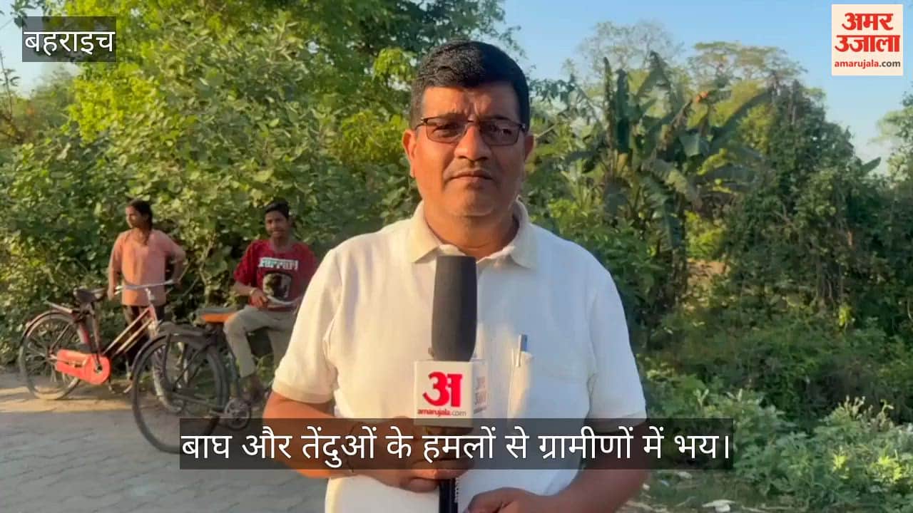 बहराइच में तीन दिन में बाघ और तेंदुओं के चार हमलों से ग्रामीणों में भय