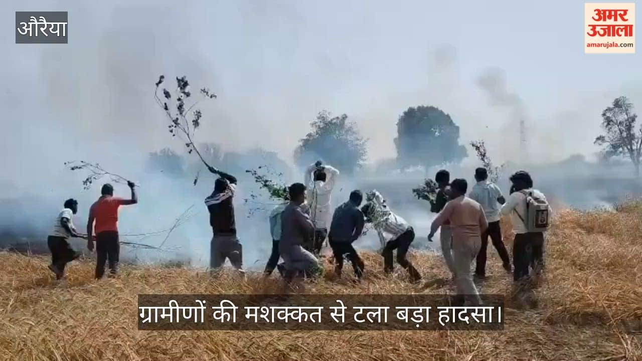 Auraiya Wheat Fields Engulfed in Flames Wheat Crop Reduced to Ashes in Bela Region Farmers in Utter Distress