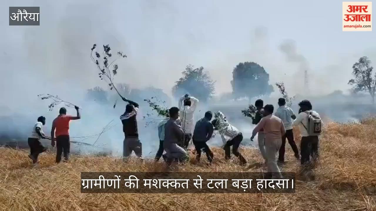 Auraiya Wheat Fields Engulfed in Flames Wheat Crop Reduced to Ashes in Bela Region Farmers in Utter Distress