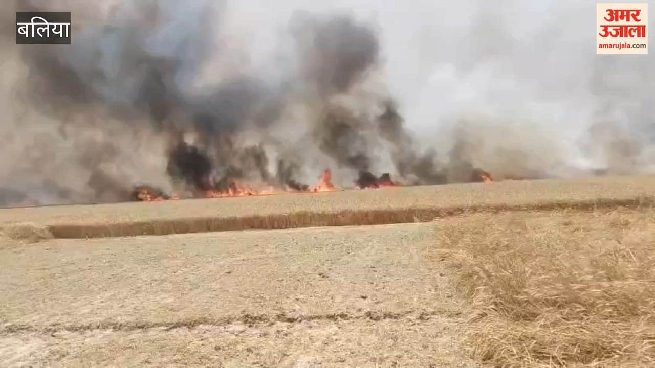 Fire Caused by Unknown Reasons Turns 100 Acres of Standing Wheat Crop to Ash