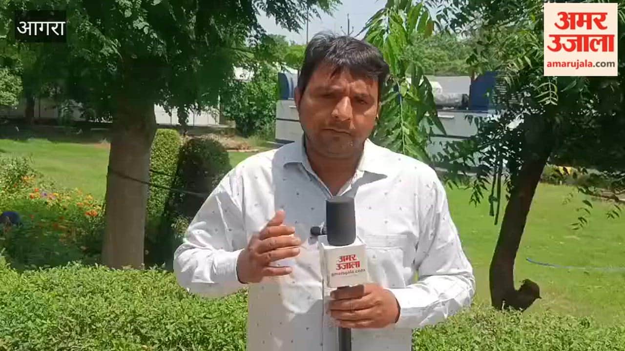 High Mosquito Population in 224 Colonies Risk of Dengue and Malaria