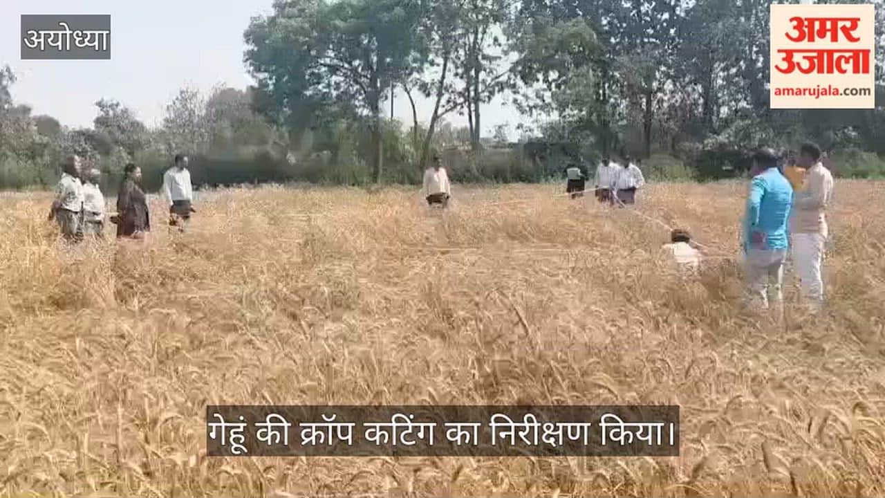 VIDEO: संयुक्त कृषि निदेशक प्रियंका कुमारी ने लिया क्रॉप कटिंग का जायजा