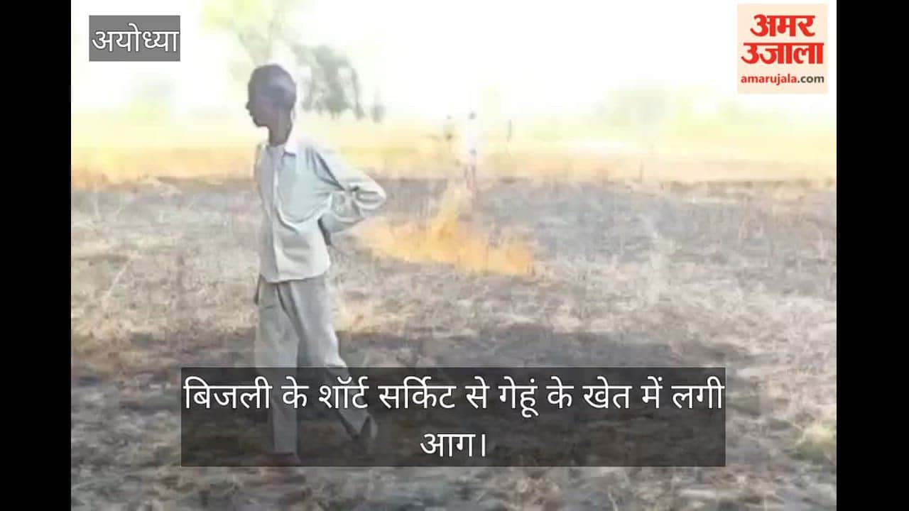 VIDEO: बिजली के शॉर्ट सर्किट से गेहूं के खेत में लगी आग,  किसान की करीब डेढ़ बीघा फसल जलकर नष्ट